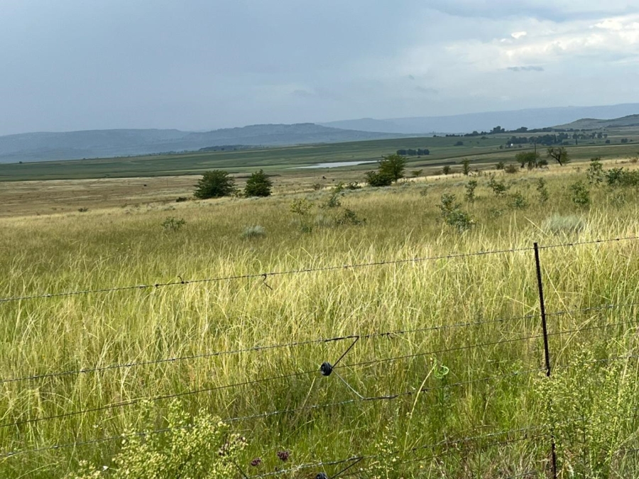 6 Bedroom Property for Sale in Ladybrand Rural Free State